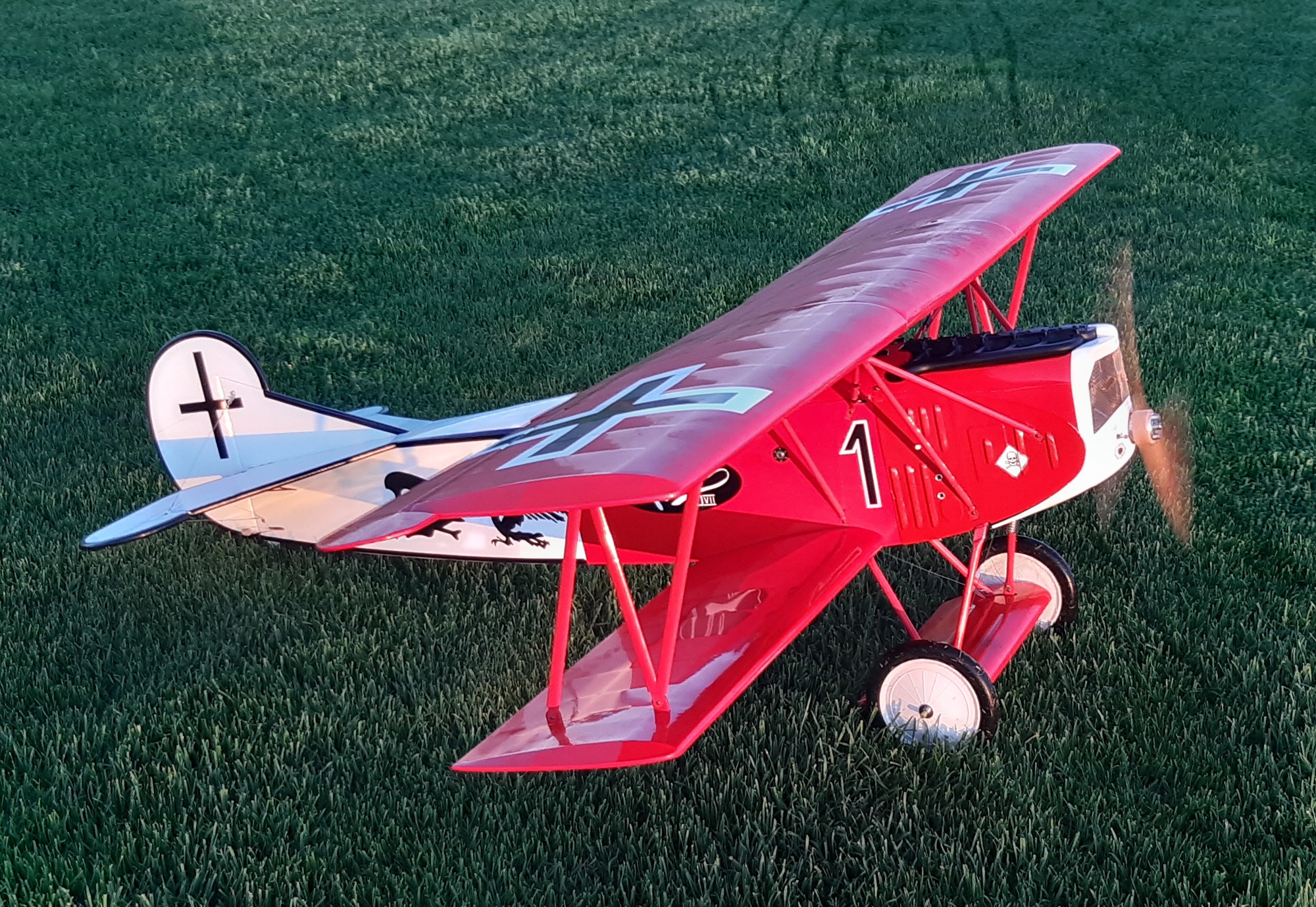 Hangar 9 Fokker D7 1/4